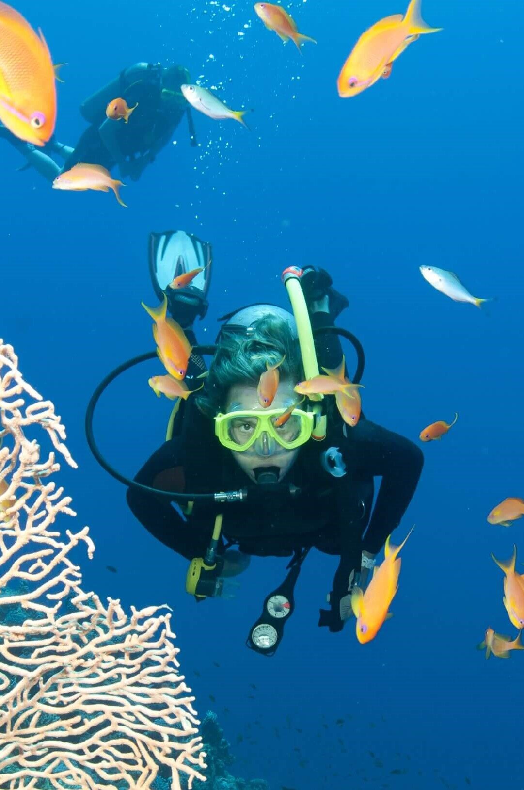 Ocean Dynamics Airlie Beach Tours Charter Dive Beach