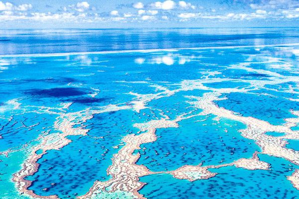 hardy reef great barrier reef aerial diving snorkeling outer reef