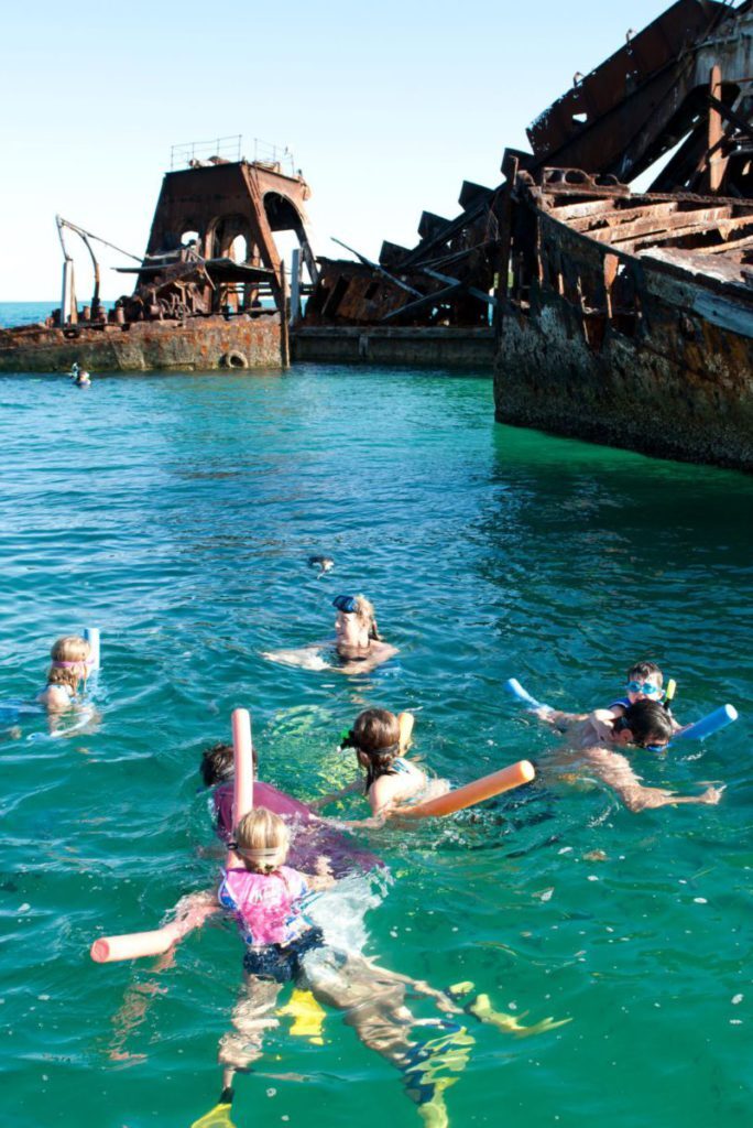 tangalooma wrecks snorkel dive